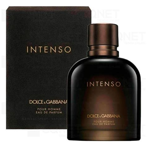 dolce gabbana pour homme intenso reviews.